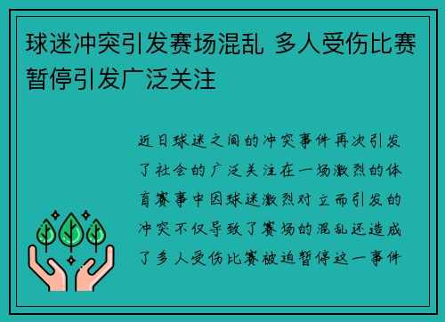 球迷冲突引发赛场混乱 多人受伤比赛暂停引发广泛关注